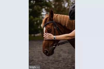 19606 Ridgeside Road, Bluemont, VA 20135 - Photo 71