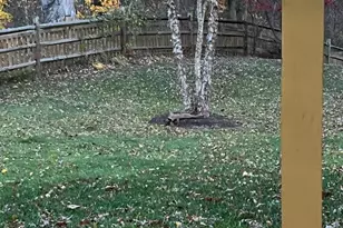 1114 Bradfield Dr SW, Leesburg, VA 20175 - Photo 5