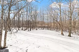 41780 Conklin Dr, Leesburg, VA 20176 - Photo 91