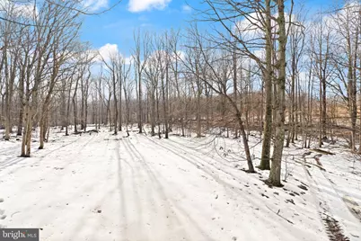 41780 Conklin Drive, Leesburg, VA 20176 - Photo 91