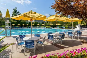 42261 Terrazzo Terrace, Aldie, VA 20105 - Photo 29