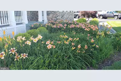 38607 Millstone Drive, Purcellville, VA 20132 - Photo 109