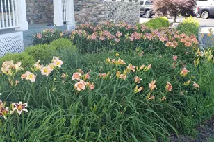 38607 Millstone Dr, Purcellville, VA 20132 - Photo 109