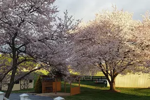 38607 Millstone Dr, Purcellville, VA 20132 - Photo 65