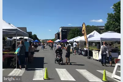 42257 Bliss Terrace, Brambleton, VA 20148 - Photo 59