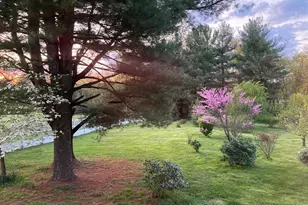 16764 Hillsboro Rd, Purcellville, VA 20132 - Photo 65