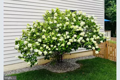 115 Cedargrove Place SW, Leesburg, VA 20175 - Photo 51