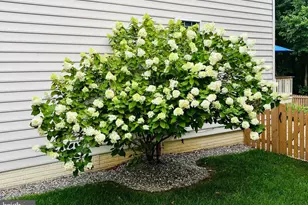 115 Cedargrove Pl SW, Leesburg, VA 20175 - Photo 51