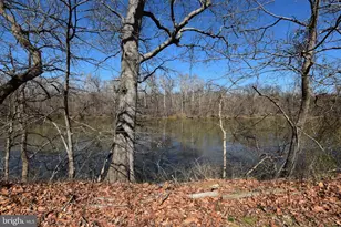 19141 Youngs Cliff Rd, Sterling, VA 20165 - Photo 5