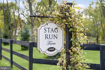 37009 Philomont Road, Purcellville, VA 20132 - Photo 9