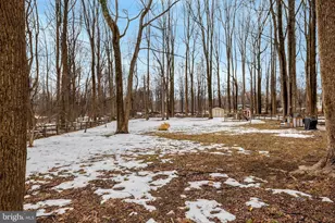 24154 Corktree Ln, Aldie, VA 20105 - Photo 67