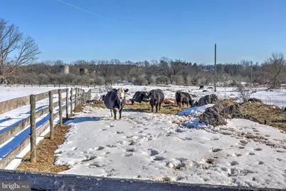 42618 St Clair Lane, Leesburg, VA 20176 - Photo 41