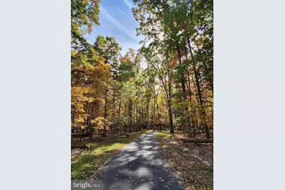 42134 Autumn Rain Circle, Brambleton, VA 20148 - Photo 63