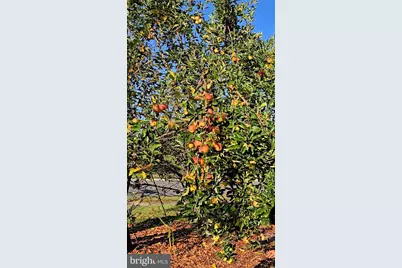 42134 Autumn Rain Circle, Brambleton, VA 20148 - Photo 51