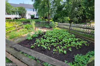 43331 Ritter Lane, South Riding, VA 20152 - Photo 55