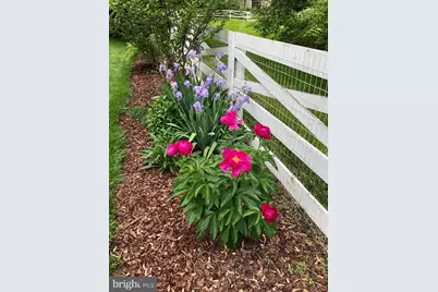 604 Elliot Drive, Purcellville, VA 20132 - Photo 67