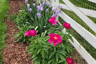 604 Elliot Dr, Purcellville, VA 20132 - Photo 67