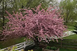 604 Elliot Dr, Purcellville, VA 20132 - Photo 57