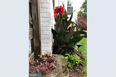 604 Elliot Drive, Purcellville, VA 20132 - Photo 59