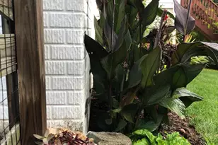 604 Elliot Dr, Purcellville, VA 20132 - Photo 59