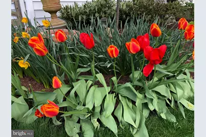 604 Elliot Drive, Purcellville, VA 20132 - Photo 65