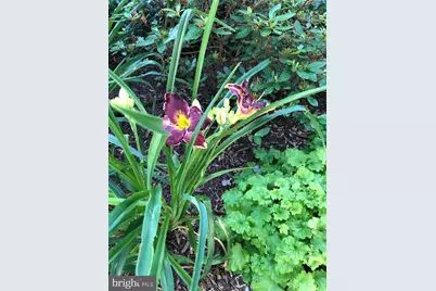 604 Elliot Drive, Purcellville, VA 20132 - Photo 61