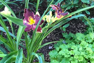 604 Elliot Dr, Purcellville, VA 20132 - Photo 61