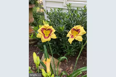 604 Elliot Drive, Purcellville, VA 20132 - Photo 63