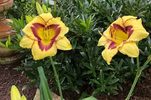 604 Elliot Dr, Purcellville, VA 20132 - Photo 63