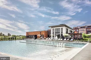 22129 Little Mount Ter, Ashburn, VA 20148 - Photo 15