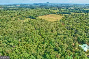 43470 Evans Pond Rd, Leesburg, VA 20176 - Photo 97