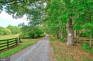 43470 Evans Pond Rd, Leesburg, VA 20176 - Photo 75