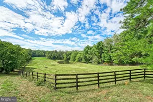 43470 Evans Pond Rd, Leesburg, VA 20176 - Photo 85