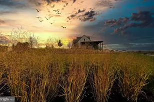 23626 Jayadev Ter, Ashburn, VA 20148 - Photo 61