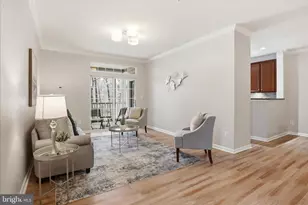 20385 Belmont Park Terrace, Ashburn, VA 20147 - Photo 7