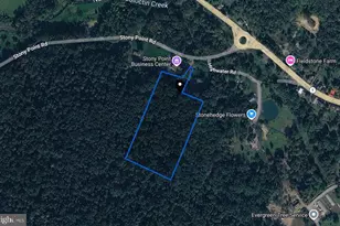 Stony Point Rd, Hillsboro, VA 20132 - Photo 1