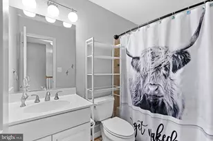 19451 Youngs Cliff Rd, Sterling, VA 20165 - Photo 61