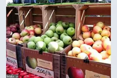 22555 Cambridgeport Square, Ashburn, VA 20148 - Photo 63