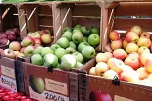 22555 Cambridgeport Square, Ashburn, VA 20148 - Photo 63