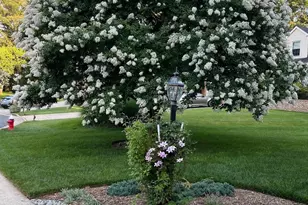 34 Lipscomb Ct, Sterling, VA 20165 - Photo 85