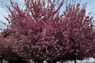 22244 Sam Fred Rd, Middleburg, VA 20117 - Photo 17