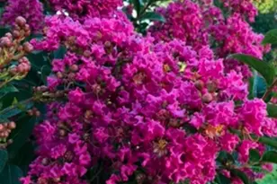 22244 Sam Fred Rd, Middleburg, VA 20117 - Photo 11