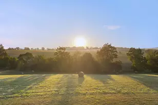 15124 Omega Ct, Waterford, VA 20197 - Photo 77