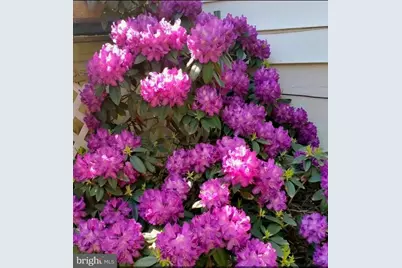 22244 Sam Fred Road, Middleburg, VA 20117 - Photo 45