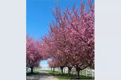 22244 Sam Fred Road, Middleburg, VA 20117 - Photo 49