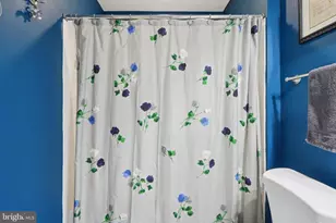 40 Stocks St, Lovettsville, VA 20180 - Photo 59