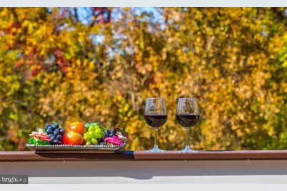 43341 Barnstead Drive, Ashburn, VA 20148 - Photo 11