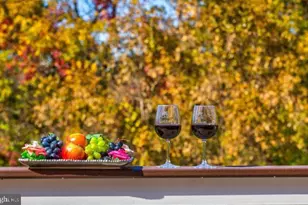 43341 Barnstead Dr, Ashburn, VA 20148 - Photo 11