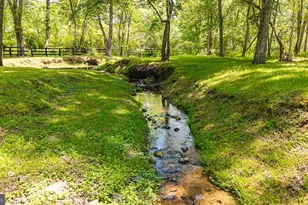 38386 Little River Tpke, Middleburg, VA 20117 - Photo 87