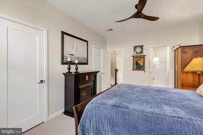 254 Bluemont Branch Terrace SE, Leesburg, VA 20175 - Photo 21